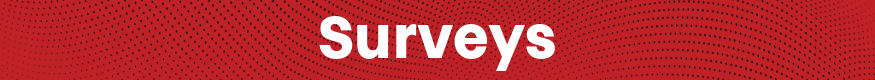 A red box that displays the text "Surveys"